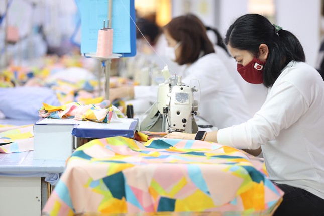 Doanh nghiệp dệt may ‘teo tóp’ cả lợi nhuận và lao động