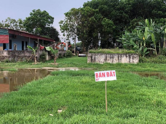 Giá đất làng quê Thanh Hoá, Nghệ An giảm, nhà đầu tư cắt lỗ vẫn khó thoát hàng