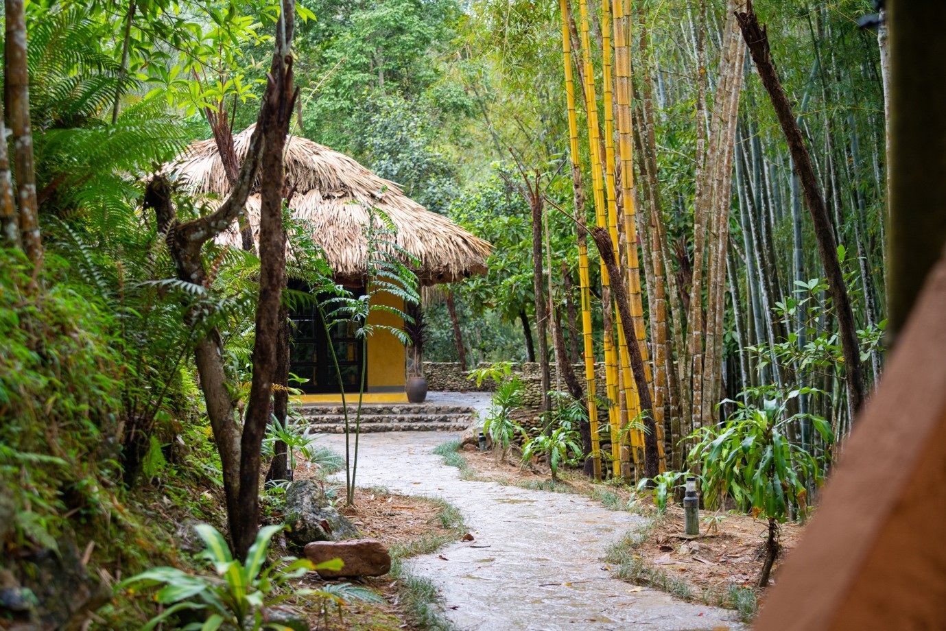 Panhou Retreat: Hơn cả một điểm đến!
