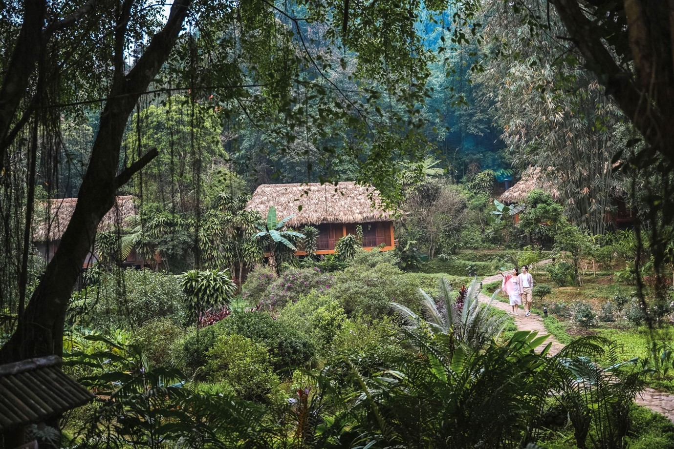 Panhou Retreat: Hơn cả một điểm đến! - Ảnh 2. Panhou Retreat: Hơn cả một điểm đến! - Ảnh 2.