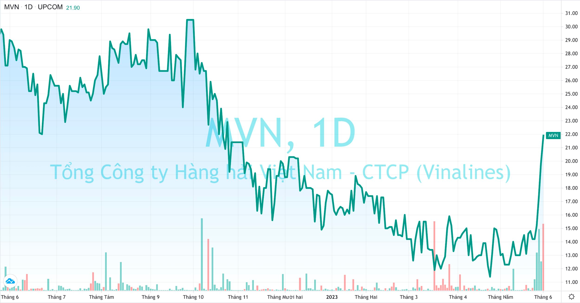 Cổ phiếu tăng dựng đứng sau cú huých từ “đại bàng”, “gã khổng lồ” ngành logistics trở lại câu lạc bộ tỷ USD vốn hóa - Ảnh 1. Cổ phiếu tăng dựng đứng sau cú huých từ “đại bàng”, “gã khổng lồ” ngành logistics trở lại câu lạc bộ tỷ USD vốn hóa - Ảnh 1.