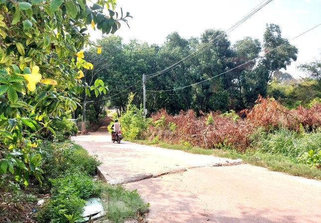 Hai dự án gối đầu ‘đắp chiếu’ 16 năm giữa khu đất vàng, làm xấu đô thị Thủ Dầu Một - Ảnh 15. Hai dự án gối đầu ‘đắp chiếu’ 16 năm giữa khu đất vàng, làm xấu đô thị Thủ Dầu Một - Ảnh 15.