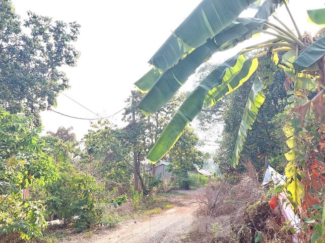 Hai dự án gối đầu ‘đắp chiếu’ 16 năm giữa khu đất vàng, làm xấu đô thị Thủ Dầu Một - Ảnh 5. Hai dự án gối đầu ‘đắp chiếu’ 16 năm giữa khu đất vàng, làm xấu đô thị Thủ Dầu Một - Ảnh 5.