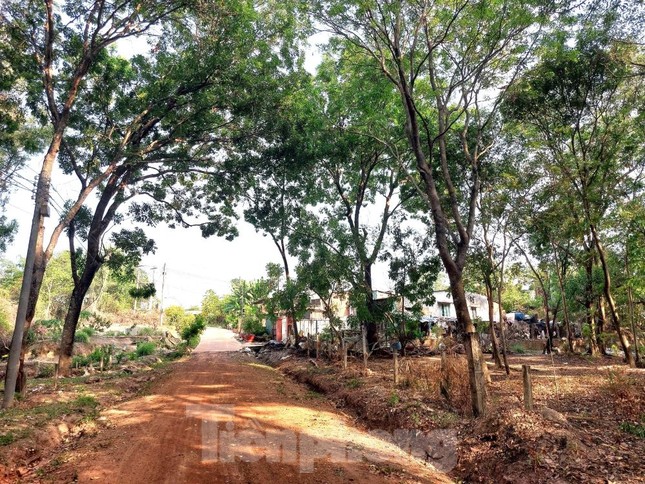Hai dự án gối đầu ‘đắp chiếu’ 16 năm giữa khu đất vàng, làm xấu đô thị Thủ Dầu Một - Ảnh 6. Hai dự án gối đầu ‘đắp chiếu’ 16 năm giữa khu đất vàng, làm xấu đô thị Thủ Dầu Một - Ảnh 6.