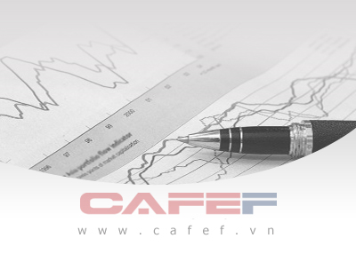Số lượng cổ đông của Novaland tăng vọt sau vài tháng, từng có giai đoạn trung bình mỗi ngày kết nạp thêm gần 700 “chứng sĩ”