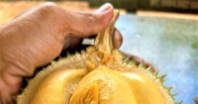 Siêu thị vừa tung ra ‘sầu riêng ngon nhất thế giới’, doanh số tăng gấp 3 lần