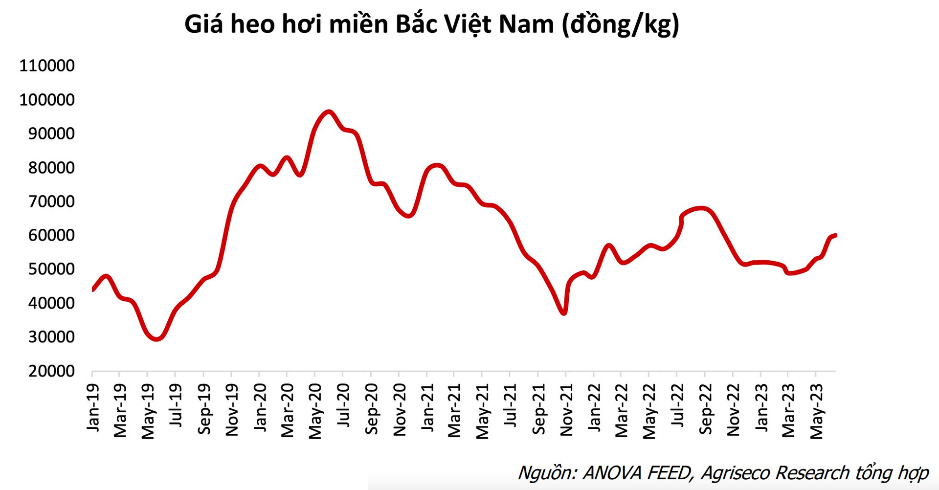 Cổ phiếu nông nghiệp đồng loạt "nổi sóng" từ một chất xúc tác "lạ", có mã tăng bốc 60% sau vài tháng - Ảnh 6.