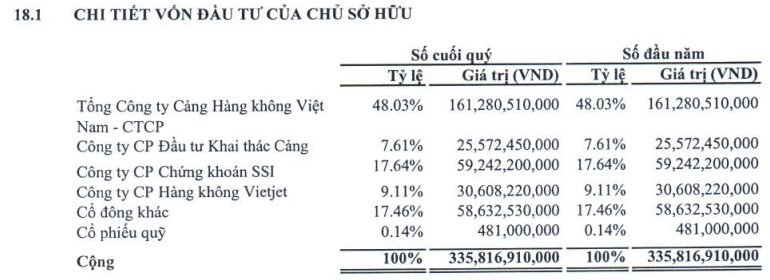 Địa ốc Him Lam bất ngờ trở thành cổ đông lớn tại Phục vụ Mặt đất Sài Gòn (SGN) - Ảnh 2.